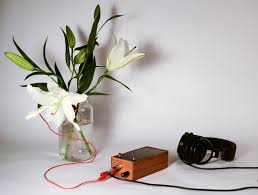 Our powerful music of the plants devices empower plant life to communicate and express themselves in ways which capture our hearts and imaginations. Singing Plant Make Your Plant Sing With Arduino Touche And A Gameduino 10 Steps With Pictures Instructables