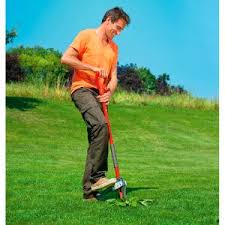 Pin On Spring Gardening Essentials