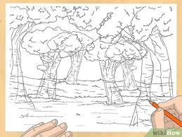 Showing how to draw a forest landscape. 3 Ways To Draw A Forest Wikihow