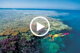 Maybe you would like to learn more about one of these? Great Barrier Reef Totalsolareclipses Com