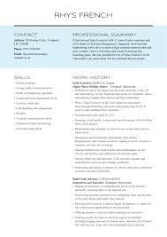 If you have excellent communication skills and feel comfortable reaching out to potential customers to demonstrate our services and products through. Sales Executive Cv Examples Tips Templates Myperfectcv