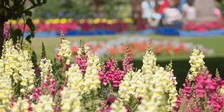 B.gardening landscape design denver sihtnumber 80210. Aas Judges Reveal Their Favorite Public Gardens All America Selections