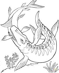Free download 38 best quality dinosaur coloring pages pdf at getdrawings. Realistic Dinosaur Coloring Pages Printable Novocom Top