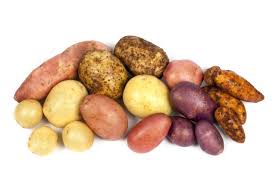This unique fingerling potato has been highlighted by slowfoodusa.org as a traditional food in need of preservation. 33 Popular Types Of Potatoes Nutrition Advance