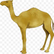 Their website can be found at the related link.additionally, blue elephant media uses an origami inspired elephant as their logo. Camel Logo Png Images Klipartz