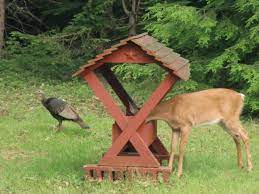 A Deer Eating Out Of The Deer Feeder While A Turkey Looks On Deer Feeders Deer Feeder Plans Deer Feeder Diy
