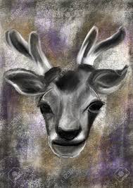 Learn how to draw a deer {stag} a stag step by step. Hand Draw Deer Head Illustration Cg Paint Stock Photo Picture And Royalty Free Image Image 34767715
