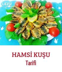 Hamsi Kusu Tarifi Leziz Yemeklerim Yemek Tarifi Yemek Yemek Tarifleri Leziz Yemek