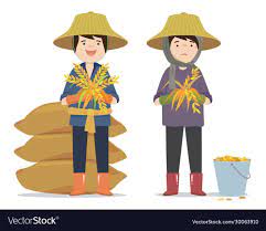 Vector Of Farmer Harvesting Good And Bad Quality Download A Free Preview Or High Quality Adobe Illustrator Ai Eps Pdf And H Vector Vector Images Vector Free