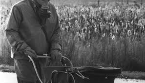 De massa ligt onder reactor nr. The Elephant S Foot Of The Chernobyl Disaster 1986 Rare Historical Photos