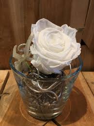 Konservierte rosen glas glocke weinachtsgeschenk infinity rosen. Inifity Rosen Glyerin Haltbar 1a Blumen Halbig Langlebig