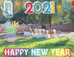 Giza Zoological Garden حديقة الحيوان بالجيزة Posts Facebook