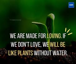 We did not find results for: Plant Gardening And Tree Quotes That Will Inspire You
