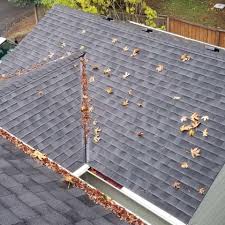 We did not find results for: Top 5 Roof Cleaning Mistakes To Avoid Ibex Roof Roofing Contractors Roof Repair Gutter Installation Insulation Contractors In Vancouver Wa