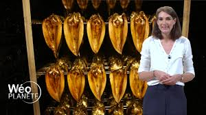 J.C. David : comment consommer des produits marins sans dégrader les océans  ?