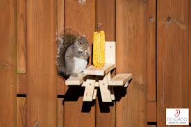 Picnic Table Squirrel Feeder In 2020 Squirrel Feeder Squirrel Picnic Table