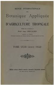 Image result for Droogmansia