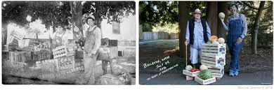 About Marcus Donner Photography and Video