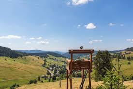 Grosse Stuhle Besondere Sitzplatze Hochschwarzwald Tourismus Gmbh Hochschwarzwald Schwarzwald Urlaub Schwarzwald