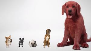 Welcome to clifford bodykits clifford bodykits was established may 2005 thru the enthusiasm for cars of its owner mr. First Look At Live Action Clifford The Big Red Dog Revealed