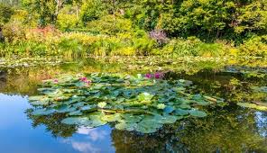 Giverny und monets haus ab paris (ab 82,24€) Giverny Auvers Claude Monet Vincent Van Gogh Im Kleinbus Pariscityvision