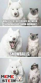 At memesmonkey.com find thousands of memes categorized into thousands of categories. Top 18 Lol Hilarious And Funniest Dog Memes Clean Funny Animal Jokes Funny Dog Memes Funny Animals With Captions