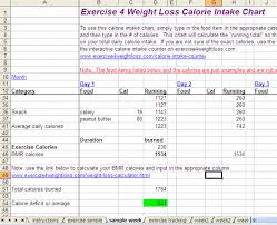 Printable Daily Food Intake Chart Www Bedowntowndaytona Com