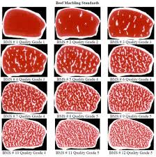 21 specific steak cut quality chart