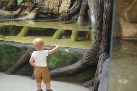 Some rooms come with a river view. Zoo Zamosc Z Dziecmi Dzieciochatki Pl