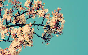 Maybe you would like to learn more about one of these? Flower Wallpaper Tumblr Flowers Background Tumblr Flower Tumblr