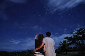 グレート バリア 島 星空 ツアー