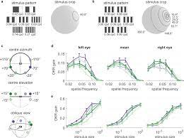 This data was prepared from histological sections made on human eyes. Https Elifesciences Org Articles 63355 Pdf