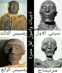 هذه صفحة مكتوبة بالعربية البسيطة، انظر الصفحة الأصلية. Ù…ØµØ± Ø§Ù„ØªØ§Ø±ÙŠØ® ÙˆØ§Ù„Ø­Ø¶Ø§Ø±Ø© Ù‡Ù„ Ø±Ù…Ø³ÙŠØ³ Ø§Ù„Ø«Ø§Ù„Ø« Ø£ÙØ±ÙŠÙ‚ÙŠ Ø§Ø³ÙˆØ¯ ÙˆØ±Ù…Ø³ÙŠØ³ Ø§Ù„Ø«Ø§Ù†ÙŠ Ø§ÙˆØ±ÙˆØ¨ÙŠ Ø§Ù„Ø­Ù‚ÙŠÙ‚Ø© ÙƒØ§Ù…Ù„Ø© Ø¹Ù† Ø§Ø³Ø± Ø§Ù„Ø±Ø¹Ø§Ù…Ø³Ø© Ù…Ø¹ Ø¸Ù‡ÙˆØ± Ù†ØªÙŠØ¬Ø© Dna Ù„Ù„Ù…Ù„Ùƒ Ø±Ù…Ø³ÙŠØ³ Ø§Ù„Ø«Ø§Ù„Ø« ÙÙŠ Ø¯ÙŠØ³Ù…Ø¨Ø± 2012 Ùˆ Ù†ØªÙŠØ¬Ø©