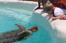 29 Things To Do In Destin Fl For The Best In Beachy Fun Things To Do In Destin Florida Vacation Destin Florida Vacation