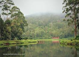 Tempat wisata tempat wisata wisata jawa barat wisata tasikmalaya. Indahnya Situ Cisanti Bandung Yang Masih Alami