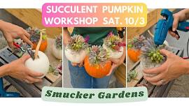 Succulent Pumpkin Workshop @ Smucker Gardens