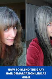 Step By Step How To Blend The Gray Hair Demarcation Line At Home Transition To Gray Hair Blending Gray Hair Long Gray Hair