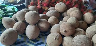 Ini daftar buah penambah darah paling ampuh! Gais Buah Bambangan Buah Jom Kita Berkebun Facebook