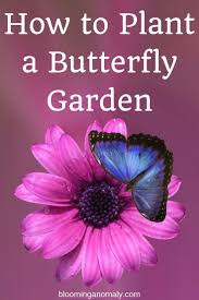Do You Want To Attract Butterflies To Your Garden Get Some Great Ideas On What Types Of Plants To Grow In Your Butterfly Garden Butterfly Garden Plants Plants