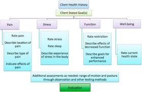 Massage therapy can actually be an integral part of your general health routine. Process For Massage Therapy Practice And Essential Assessment Sciencedirect