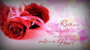 25 beautiful images of red roses with love quotes admin feb 1st, 2019 0 comment love is an unmatched feeling, it not just brings two hearts closer but it also helps in creating new dreams. 25 Beautiful Red Roses Images With Love Quotes Entertainmentmesh