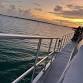 8PM Friday OCTOBER 24TH 2025 MINI CRUISE  "MINI event image