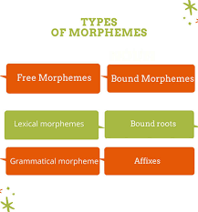 Because they have their own meaning, they can stand by themselves. Morpheme Definition Types And Examples English Finders