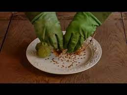 This article wouldn't be complete if i didn't mention water. How Do I Use Datura Seeds Datura Seeds Youtube