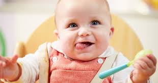 Während die wippen bereits für die kleinsten geeignet sind, gehört dein schatz erst in einen hochstuhl, wenn er alleine sitzen kann. Die Besten Hochstuhle Fur Babys Kinder Im Vergleich 2021