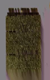 Annuaire du Conservatoire et du jardin botaniques de Genve