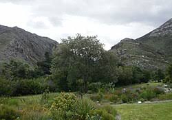 Image result for Virgilia