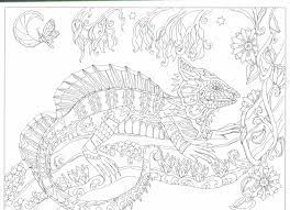 Color profiles may look accurate on screen, but may not always be applied to print. This Will Print On 11x17 Just As Nice As 8 5x11 Coloring Pages Inspirational Dover Coloring Pages Coloring Pages To Print Animals