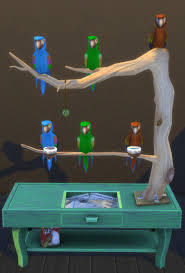 Is there any pet bird mod? Sims 4 Pet Bird 35 Images Mod The Sims Mod The Sims Pin On Sims 2 Pets