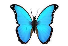 What Does Butterfly Emoji Mean Emoji Emoji Backgrounds Butterfly